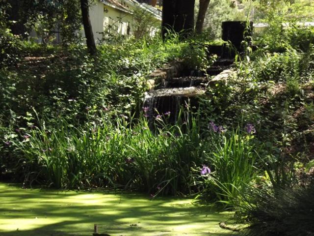 Backyard Garden Oasis Panzió Middletown Kültér fotó