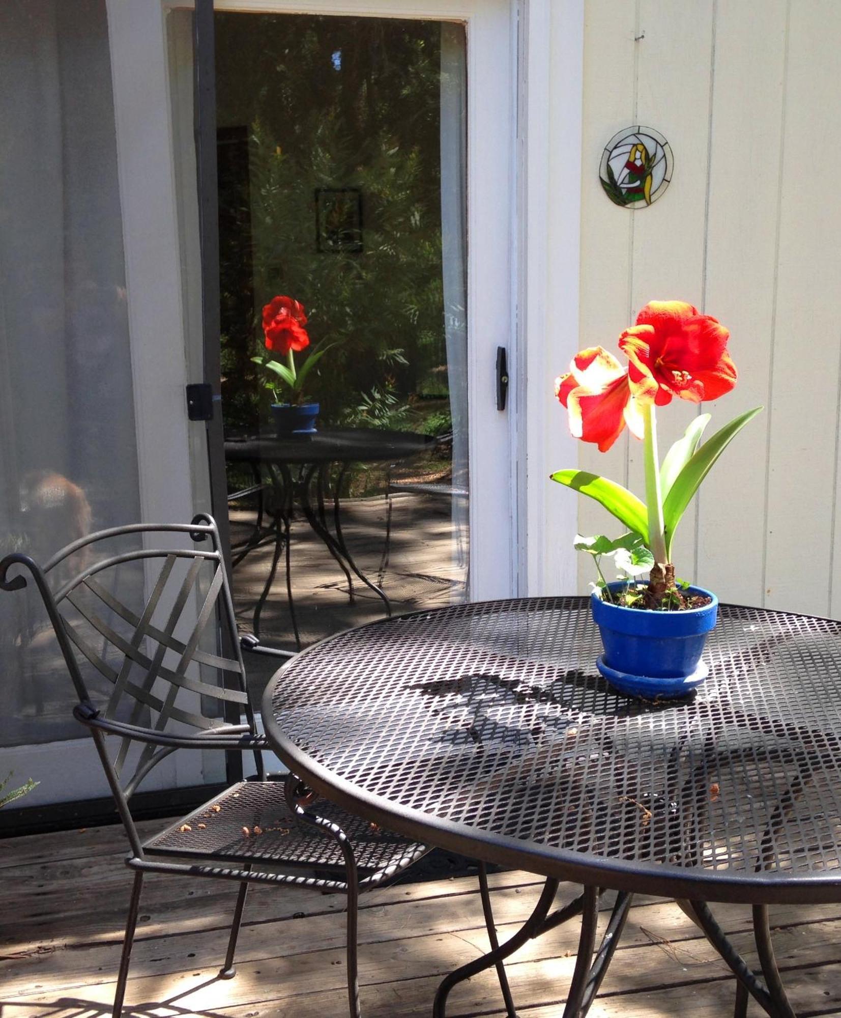 Backyard Garden Oasis Panzió Middletown Kültér fotó