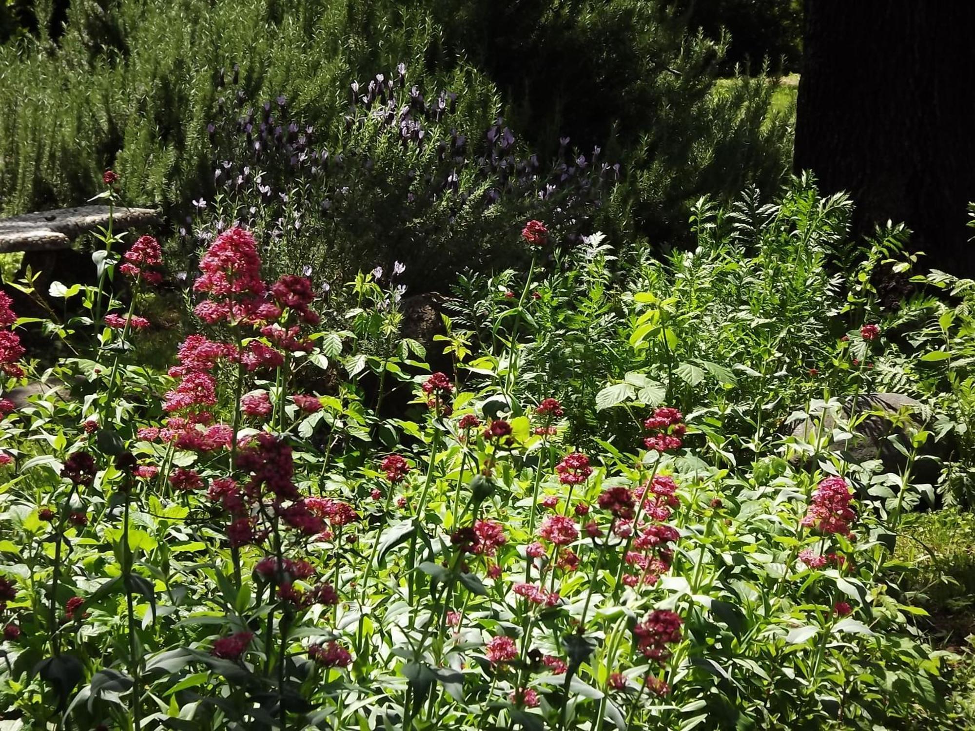 Backyard Garden Oasis Panzió Middletown Kültér fotó