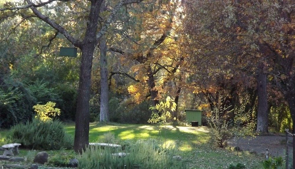 Backyard Garden Oasis Panzió Middletown Kültér fotó