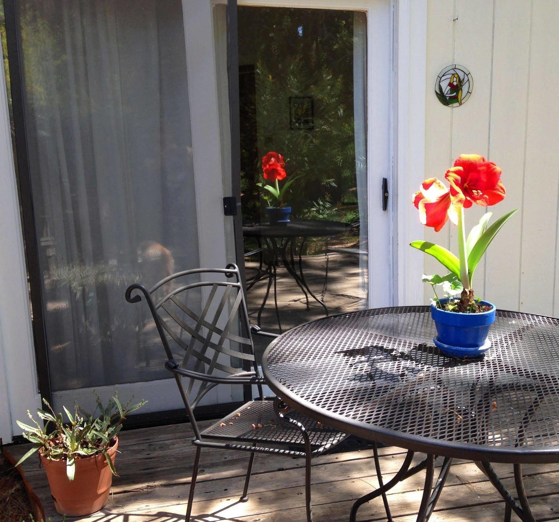 Backyard Garden Oasis Panzió Middletown Kültér fotó