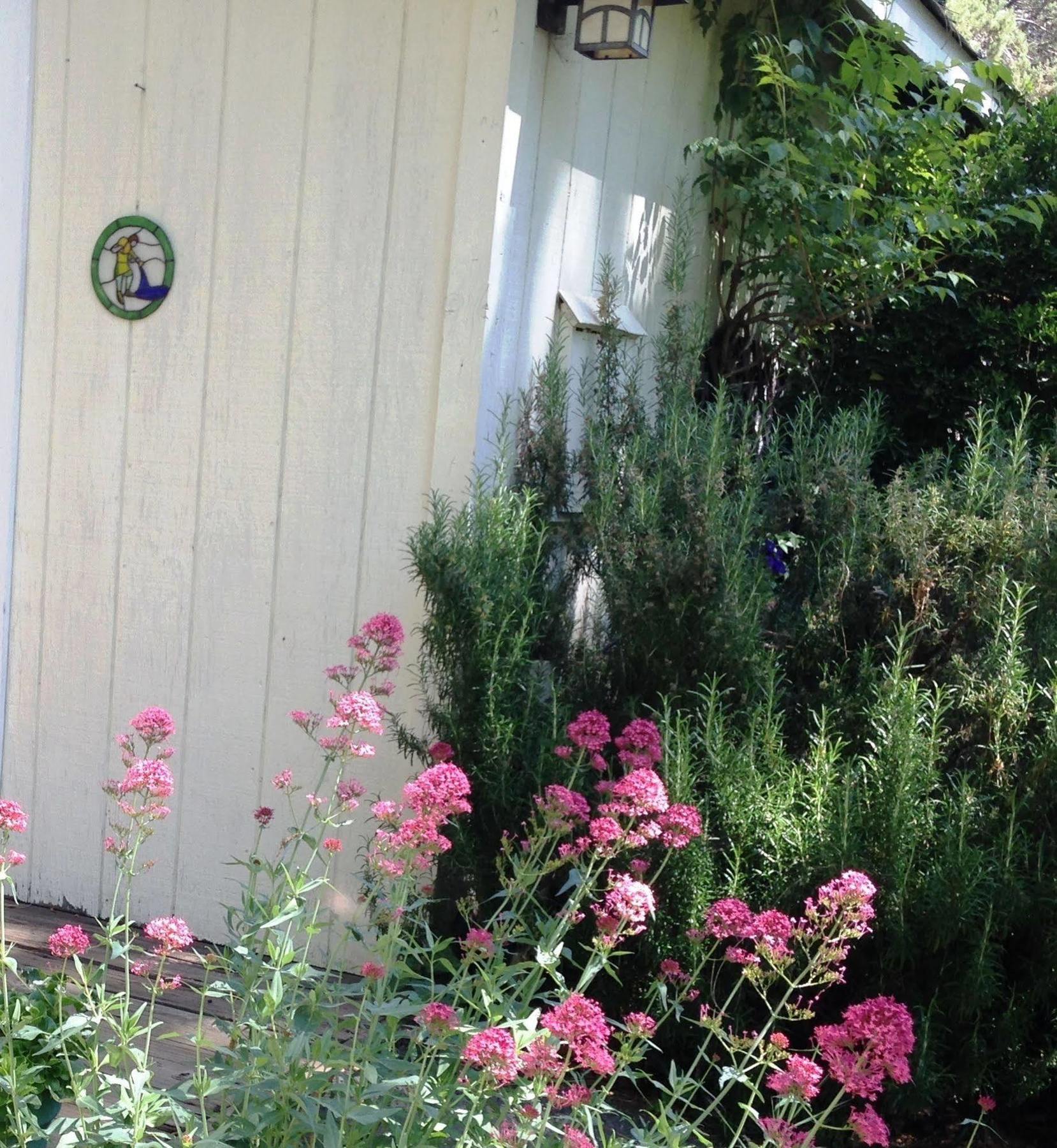 Backyard Garden Oasis Panzió Middletown Kültér fotó