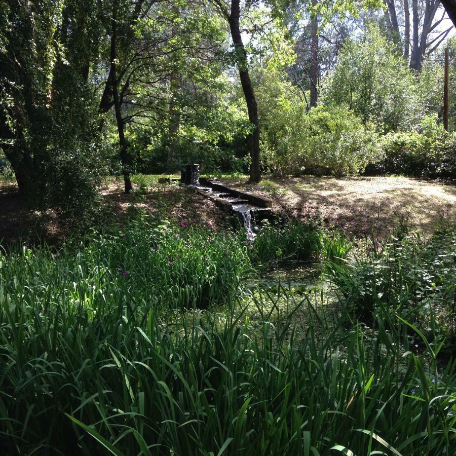Backyard Garden Oasis Panzió Middletown Kültér fotó
